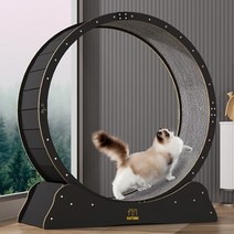 캣휠 가성비 저소음 고양이 운동 용품 장난감 펫휠, 내부지름70cm, 자체조립