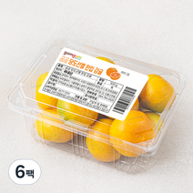 곰곰당도선별한입 감귤, 500g, 6팩