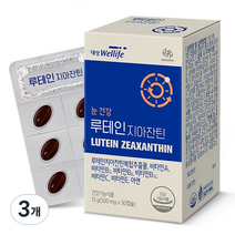 대상웰라이프 루테인지아잔틴 15g, 3개, 30정, 30정