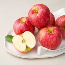 GAP 저탄소인증 영주사과 1봉, 1.5kg