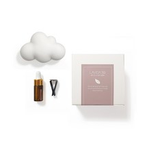 라비다39 2D 몽글 구름 차량용 플라스터 오너먼트 석고방향제 + 차량용 클립 + 리필오일 3ml, 웨딩플라워