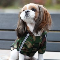 퍼피아 반려동물 소형견 대형견 빛반사 아웃도어 방수 우비 레인코트, 카모