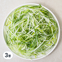 파채, 500g, 3봉