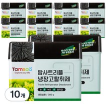 탐사 트리플 냉장고 탈취제 대용량, 300ml, 10개