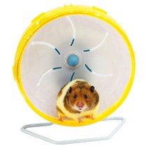 펫존 햄스터 쳇바퀴 17cm BA-17C, 랜덤 발송, 1개