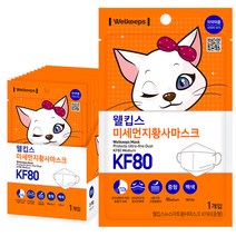 웰킵스 미세먼지황사마스크 중형 KF80, 1개입, 25개