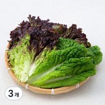 친환경 인증 국내산 적상추&청상추, 200g, 3개
