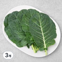 GAP 한끼 케일, 80g, 3개