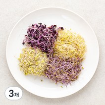 새싹 채소, 50g, 3개