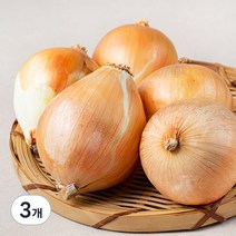 국내산 친환경 양파, 800g, 3개