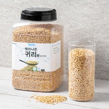 렌틸귀리현미 추천 TOP 3