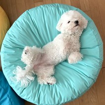 퍼피엔젤 쏘오옥 쿠션 마가지오 방수원단 커버 PA-BV183, 709 BL