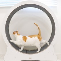 개츠비 고양이 캣휠 런닝머신 뉴디자인, 1개, 화이트(M)