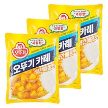 오뚜기카레약간매운맛1kg 추천 순위 TOP 8