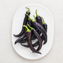 가지색 고추, 200g, 1봉
