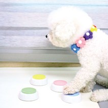 딩동펫 반려동물 벨 + 클리커, 벨(핑크), 클리커(블루), 1세트