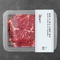전통참한우 채끝 2등급 구이용 (냉장), 300g, 1개