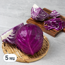 곰곰 국내산 적양배추, 800g, 5개