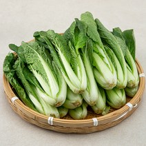 곰곰 국내산 얼갈이, 1kg, 1봉