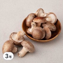 친환경 표고버섯, 300g, 3개
