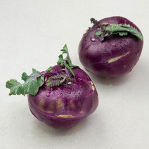 국내산 콜라비(2~3입), 1.2kg, 1개