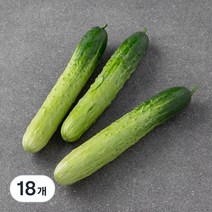 곰곰 국내산 백오이, 3입, 6개