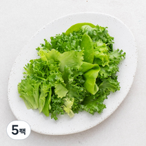 친환경 인증 국내산 유러피안 소프트 샐러드, 300g, 5팩