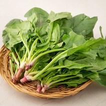 곰곰 남해 시금치, 200g, 1봉