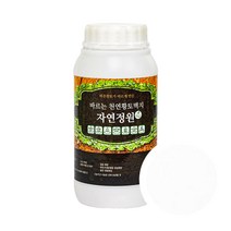 바른황토 바르는 천연황토벽지 자연정원 페인트 1L, 백토, 1개