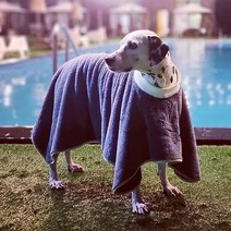 더플래 강아지 고양이 펫 드레스 타월, 그레이