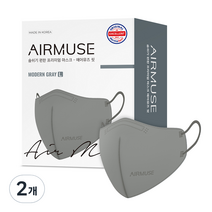 에어뮤즈 핏 2D 새부리형 마스크 성인용 대형, 25개입, 2개, 모던 그레이