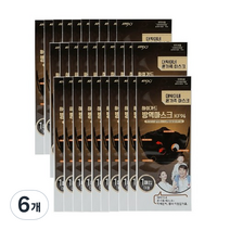 아텍스 하이가드 방역 마스크 대형 KF94 검정, 30개입, 6개