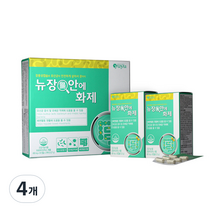 유유제약 뉴 장안에 화제 유산균, 4개, 13.5g