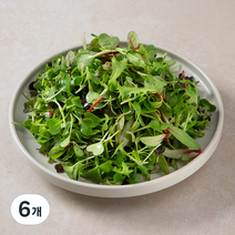 국내산 친환경 어린잎 채소믹스, 150g, 6개
