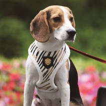 퍼피아 엣지하네스 A, 오프화이트