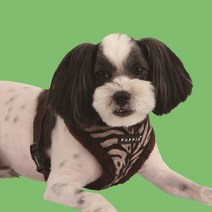 퍼피아 하네스 지브라하네스(A), 브라운