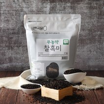 월드그린 싱싱영양통 무농약 검정 찰흑미, 2kg, 1개