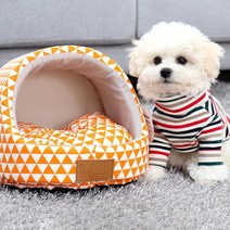 레드퍼피 몰리 라이징 동글이 쿠션하우스, 오렌지