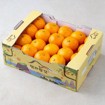 탐라황감 당도선별 서귀포 하우스 감귤, 2.5kg, 1개