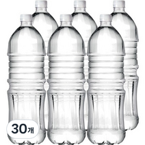 아워홈 지리산수 무라벨, 30개, 2L
