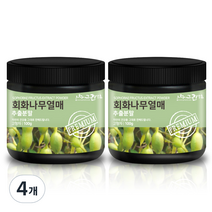 그린약초 회화나무열매 추출분말, 4개, 100g