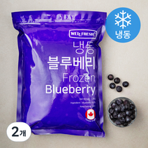 웰프레쉬 캐나다산 블루베리 (냉동), 1.3kg, 2개
