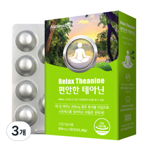 네추럴라이즈 편안한 테아닌 24.48g, 3개, 30정, 30정