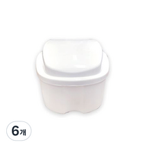 틀니보관함 화이트 대, 1개입, 6개