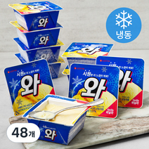 롯데웰푸드 와 아이스크림 (냉동), 190ml, 48개