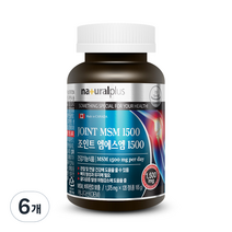 내츄럴플러스 조인트 엠에스엠 1500, 6개, 165g