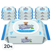 탐사 페퍼민트 물티슈 캡형, 70매, 20팩