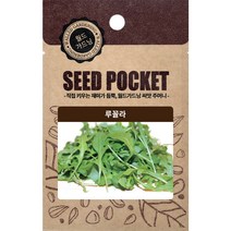 월드가드닝 정원 텃밭 좋은 씨앗 루꼴라, 1개