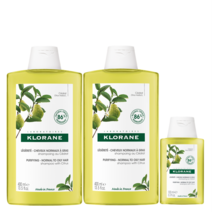 클로란 시트러스 스케일링 샴푸 400ml x 2p + 100ml 세트, 1세트