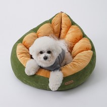 반려동물 아보카도 쿠션, 다크 그린